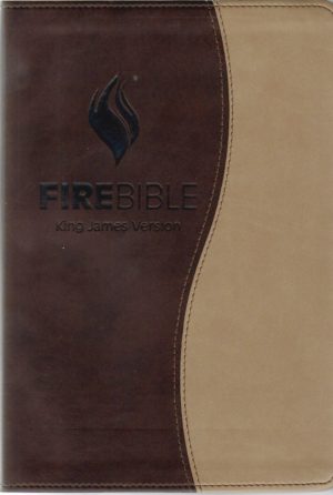 Buy fire bibles | Spanish Fire Bibles | Study bible